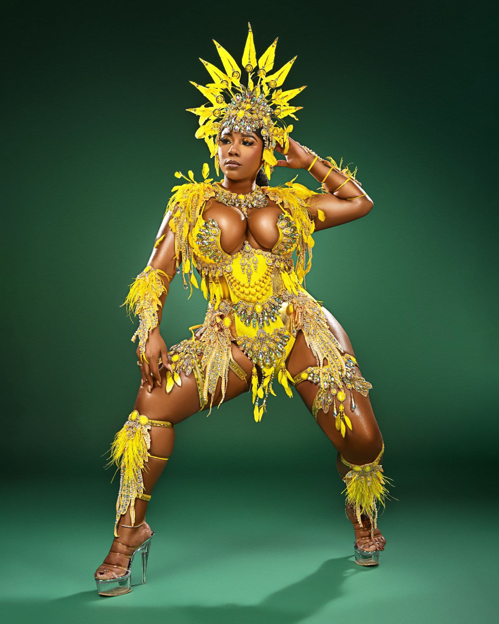 cd5bc96ab79dbe104eae55691113e8cd_Curvy_Bodywear_With_Feather_Head.jpg