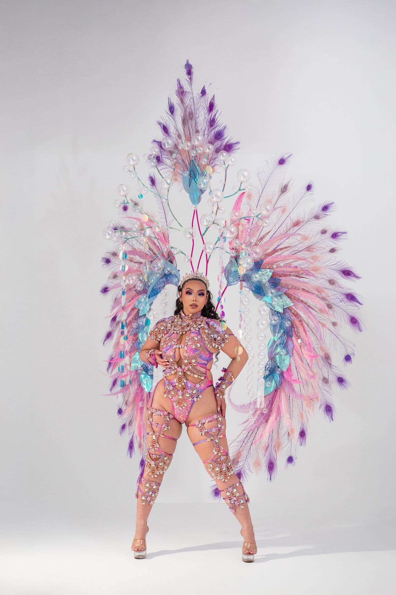 4a49cee595e51bd543038eea50fa1185_Curvy_Body_Wear_With_Large_Feath.jpg