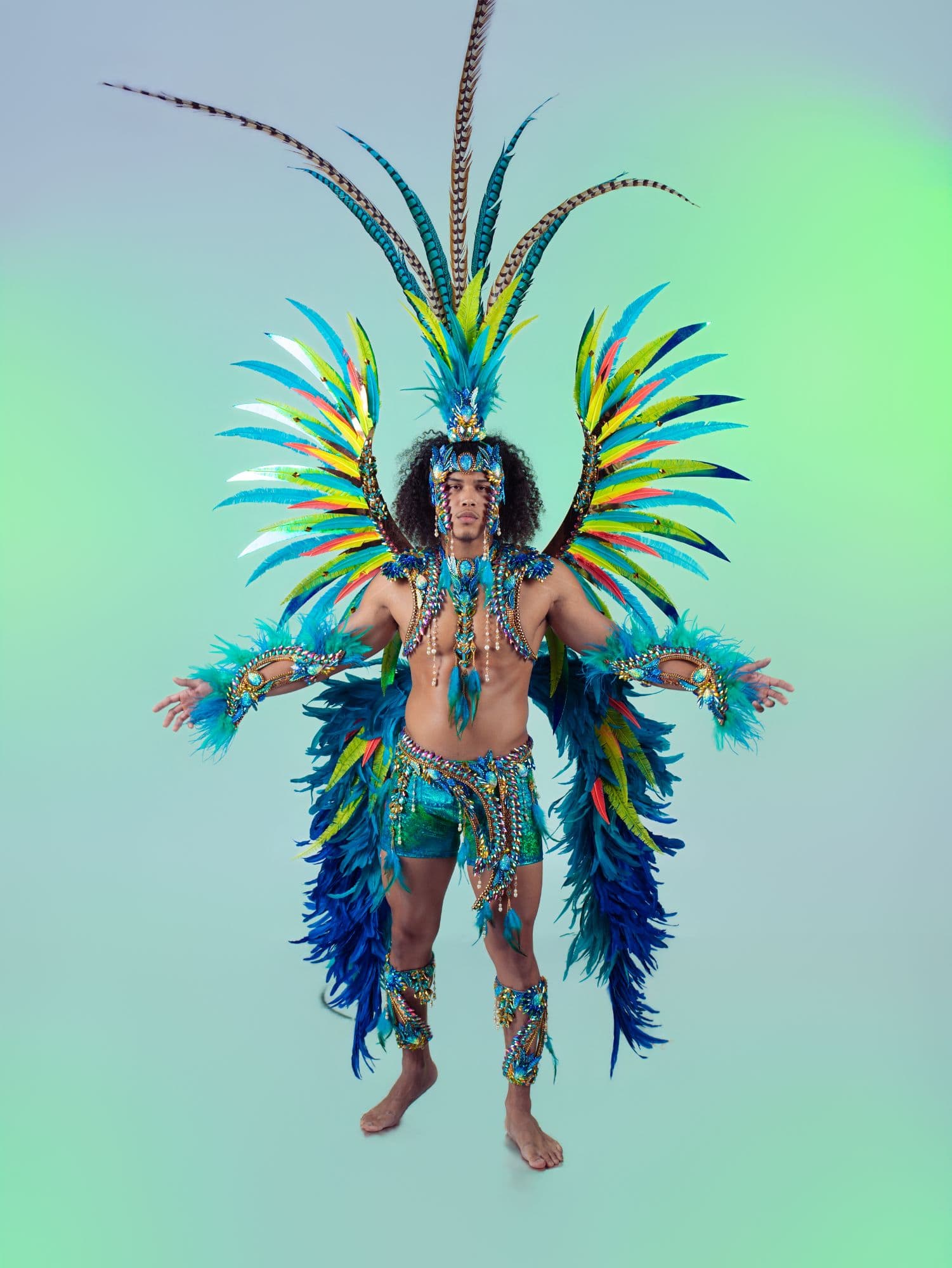 9cb71c37ef930a412a101f3894f220d7_MaleHeadpieceFullWings.jpg