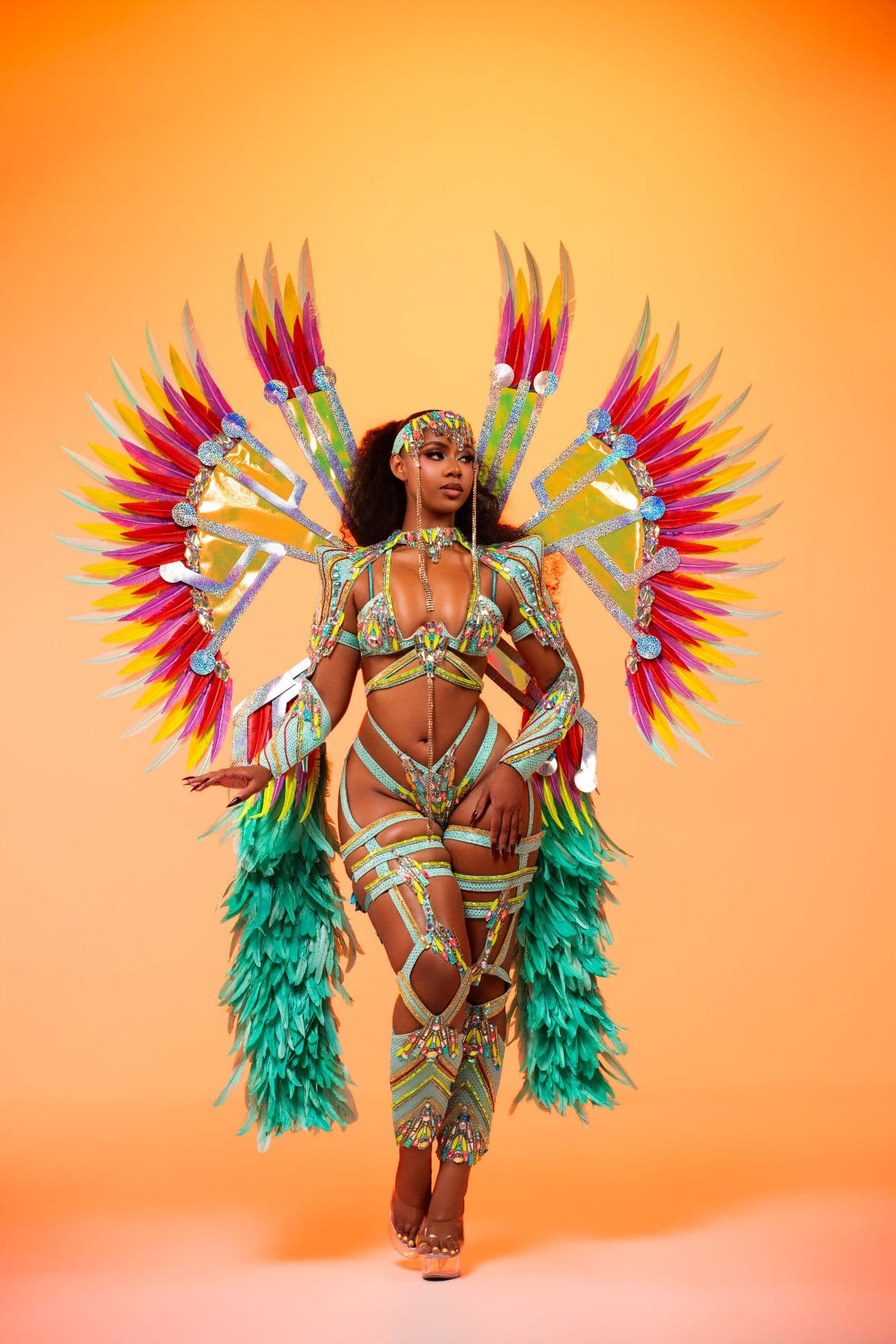 b0b74770ae1d4c7781231e2ca964046e_Curvywear_with_meduim_Wings_copy.jpg